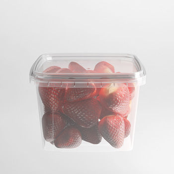 Tamper Proof Containers