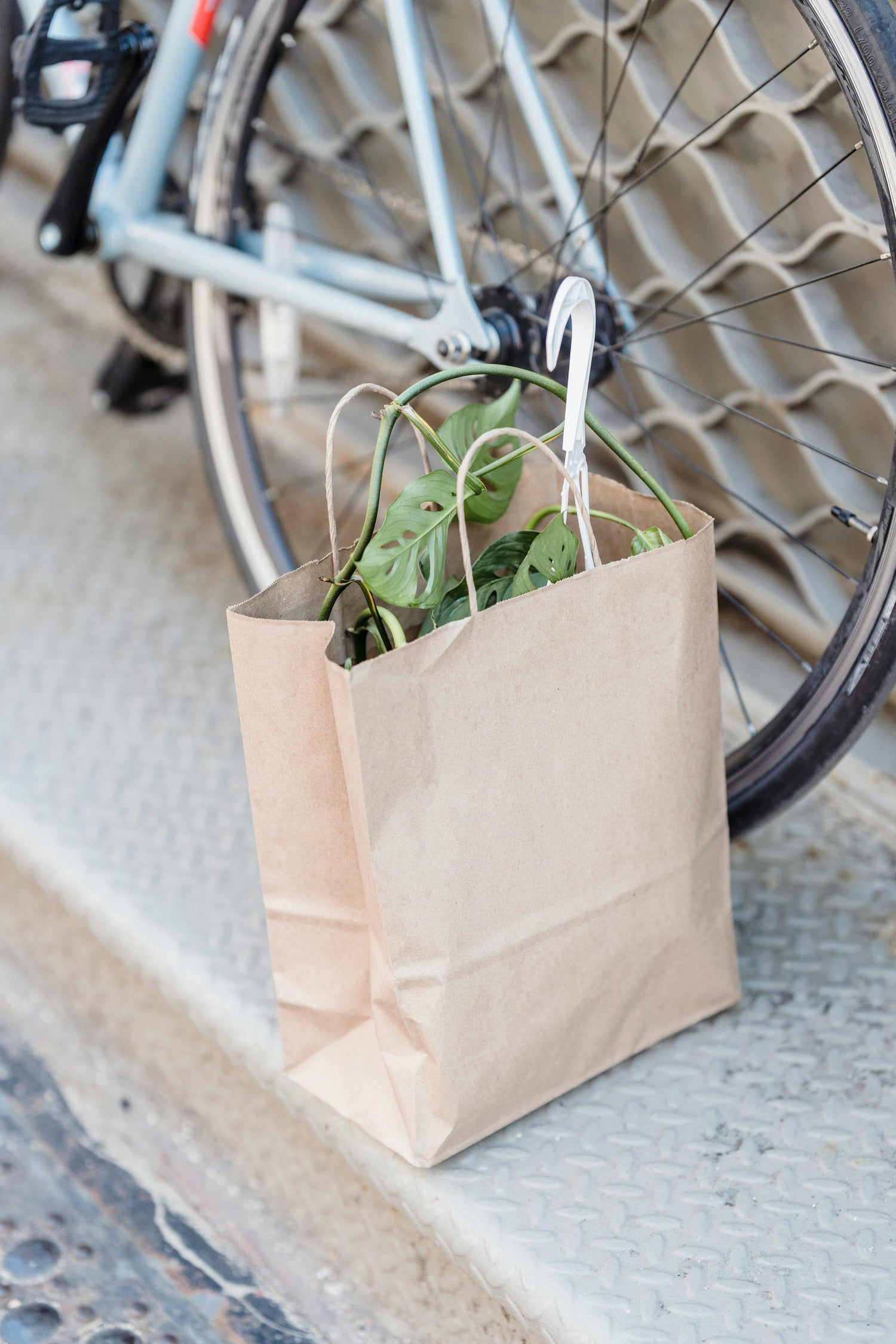 Takeout Bags