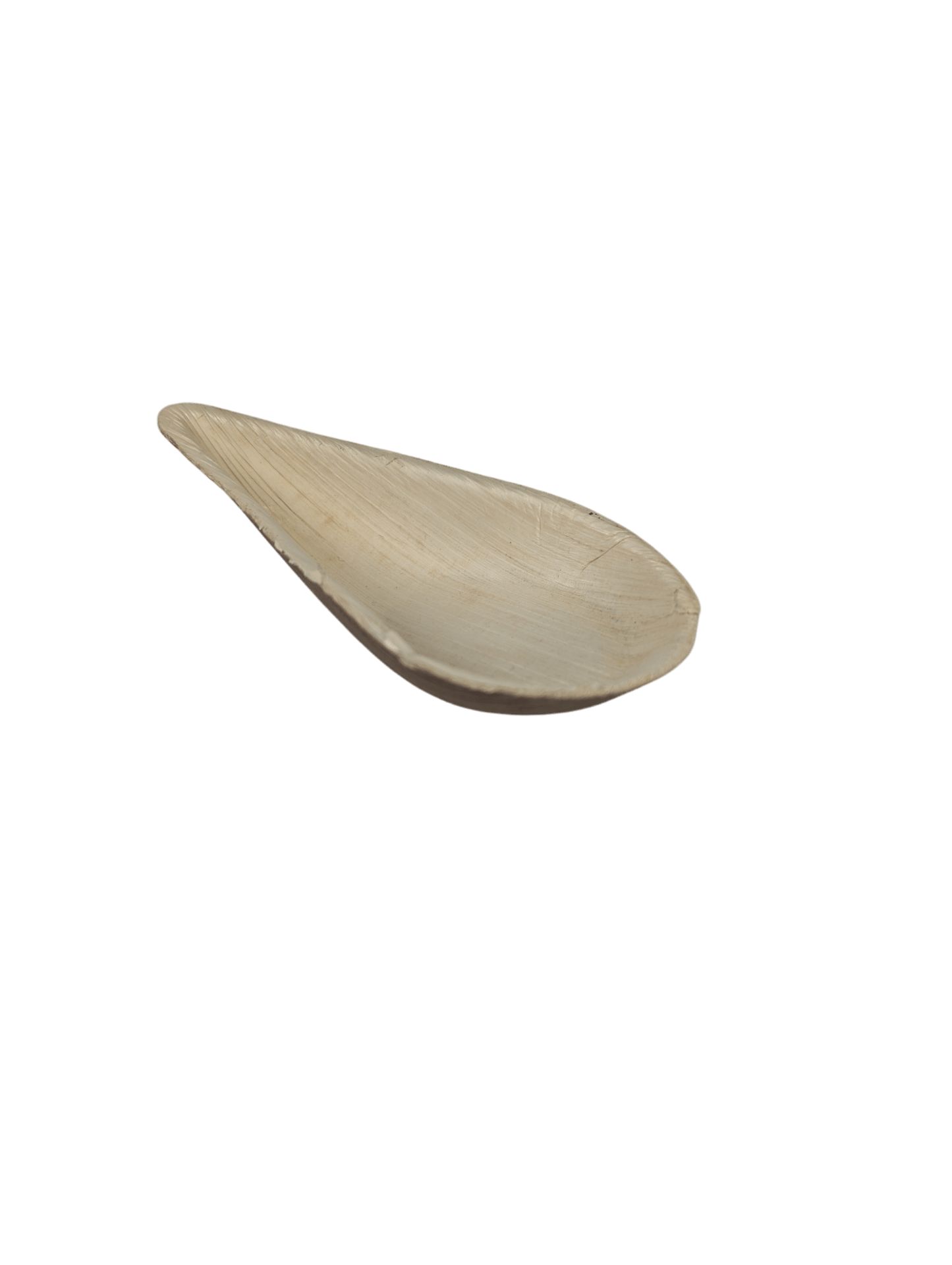 2" Tear Drop Palm Tray 10/pk