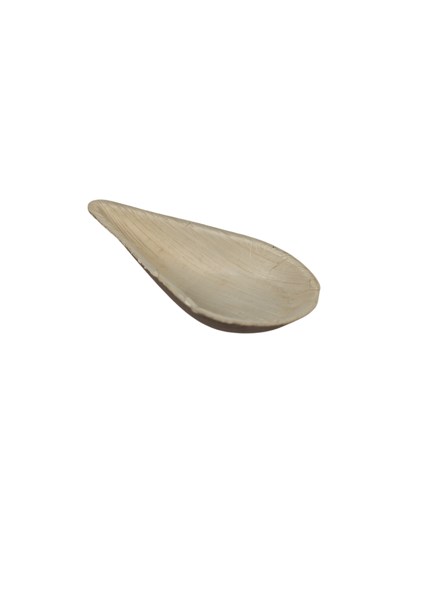 2" Tear Drop Palm Tray 10/pk