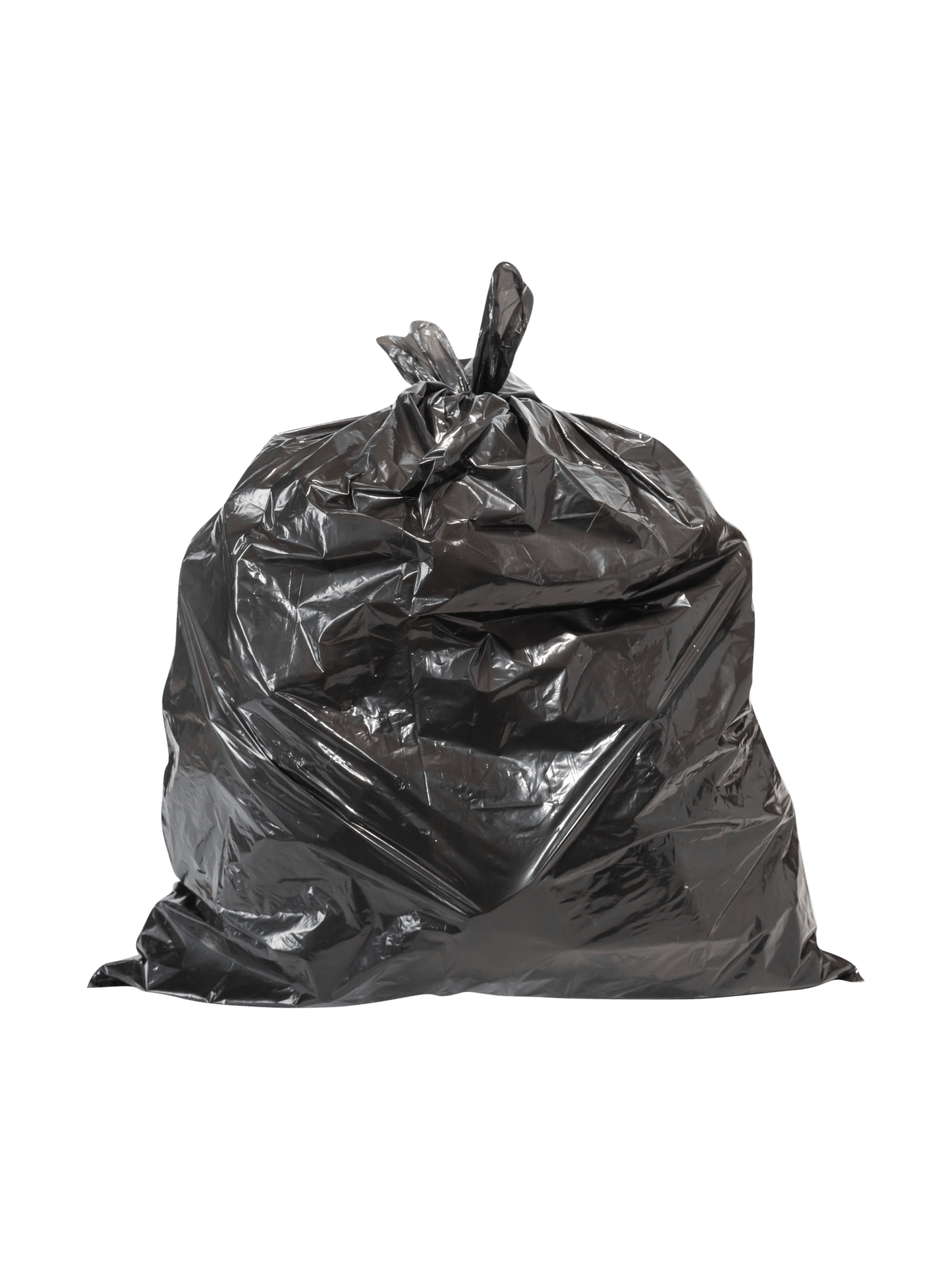 Garbage Bag 20 x 22” Black Regular 500/cs