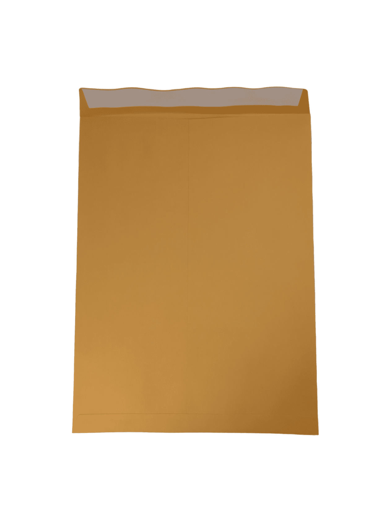 Letter Envelope 5pc 9x12” Peal n Seal 5/pk