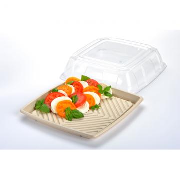 Fibre Catering Bowls & Lids