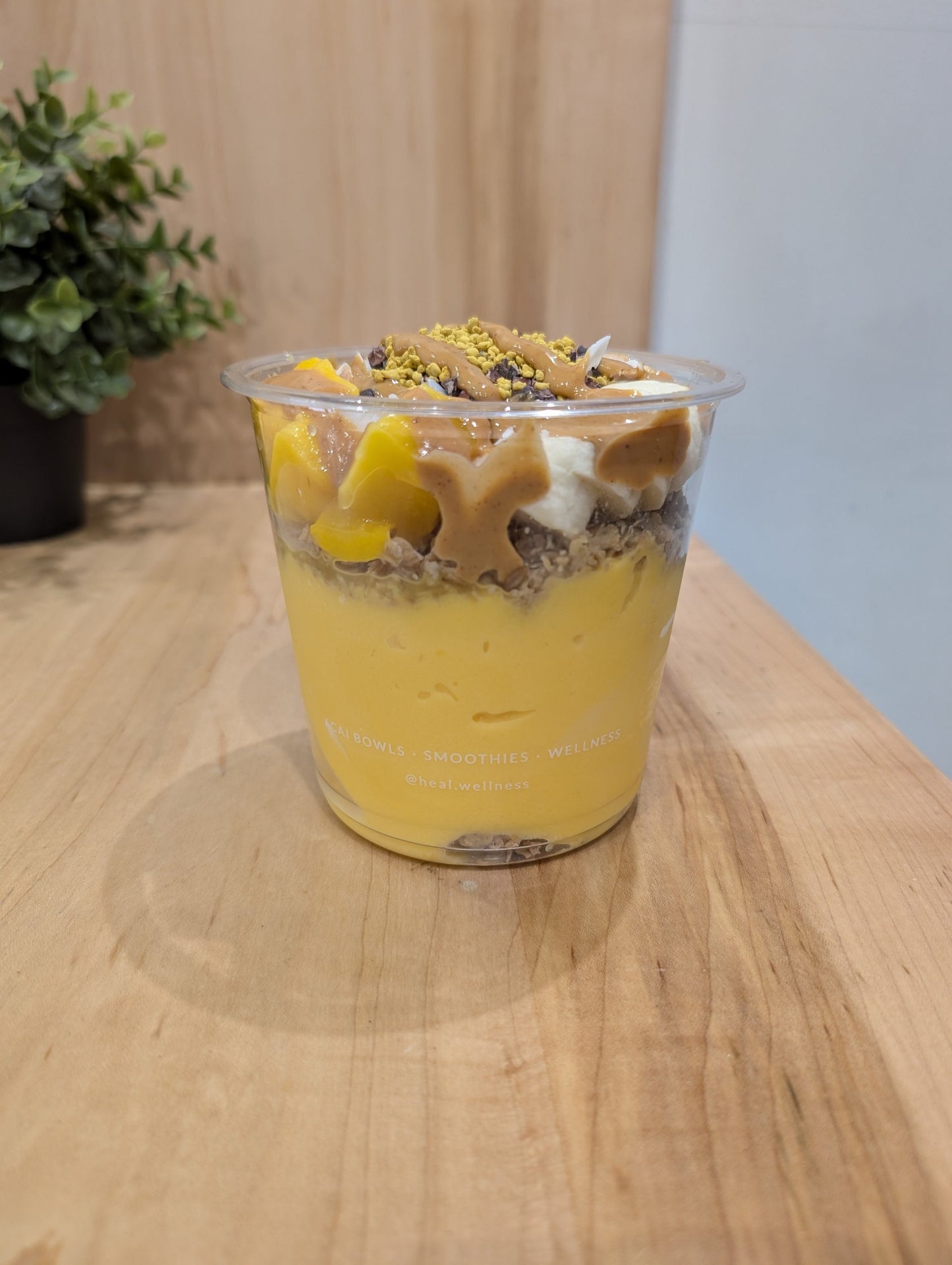 HEAL Bowl 24oz. PET 500/ctn